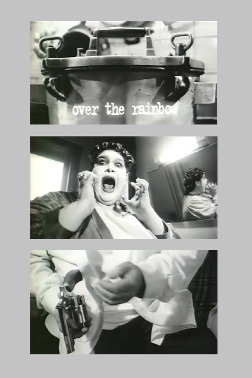 Over the Rainbow (1997) poster