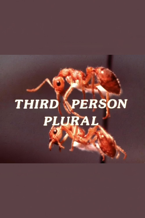 Third Person Plural (1978) poster