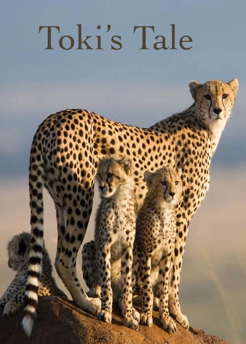 Toki's Tale (2007) poster