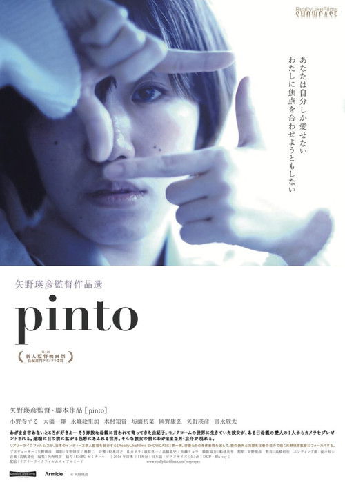 Pinto (2016) poster