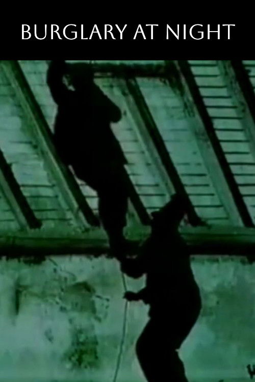 Dévaliseurs nocturnes (1904) poster