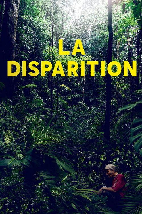 The Disappearance (2021) poster