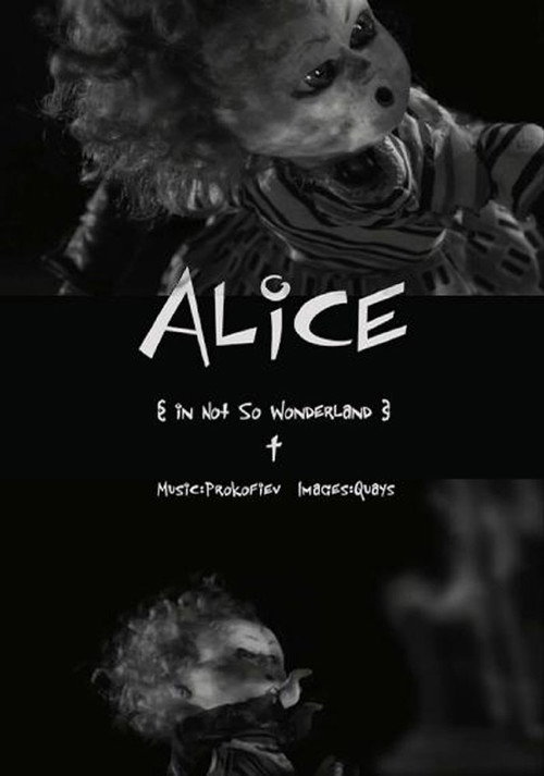 Alice in Not So Wonderland (2007) poster