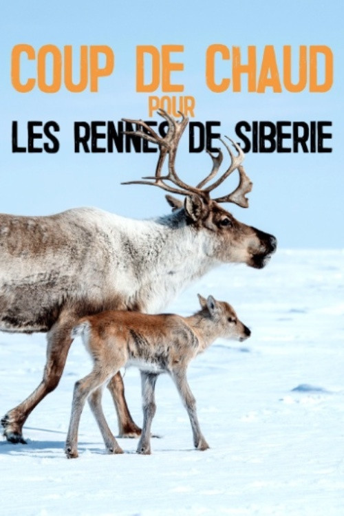 Heatstroke for the Siberian Reindeer (2020) poster
