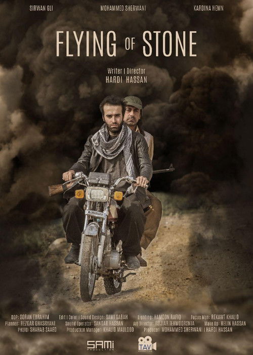 Flying of Stone (2017) poster