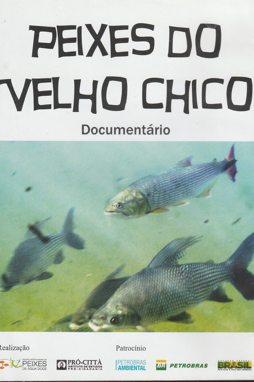 Peixes do Velho Chico (2013) poster