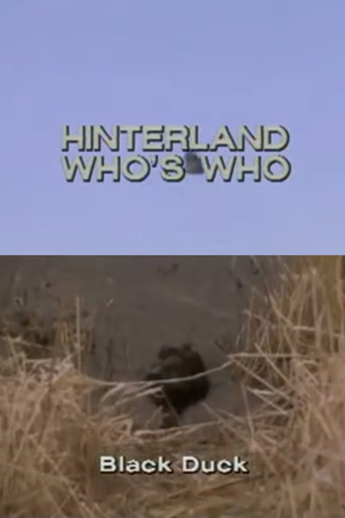 Hinterland Who's Who: Black Duck (1970) poster