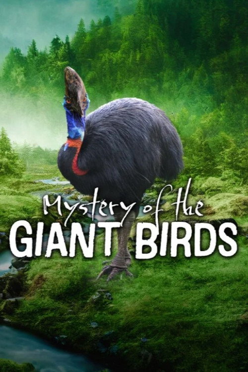 Le mystère des oiseaux géants (2025) poster