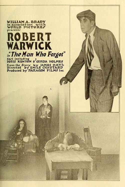 The Man Who Forgot (1917) poster
