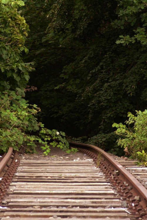 A Lot Happens If Nothing Happens (2025) poster