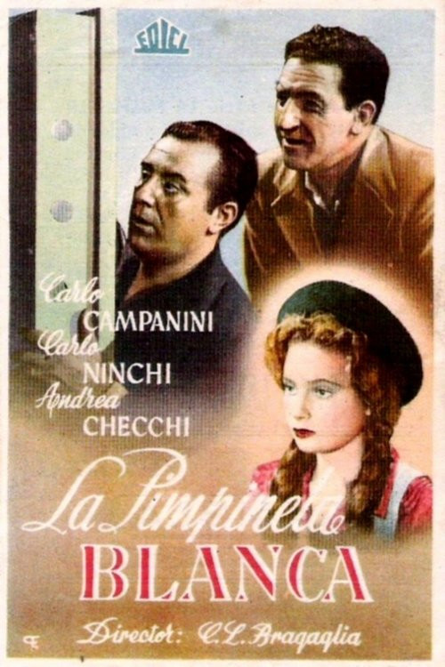 La primula bianca (1947) poster
