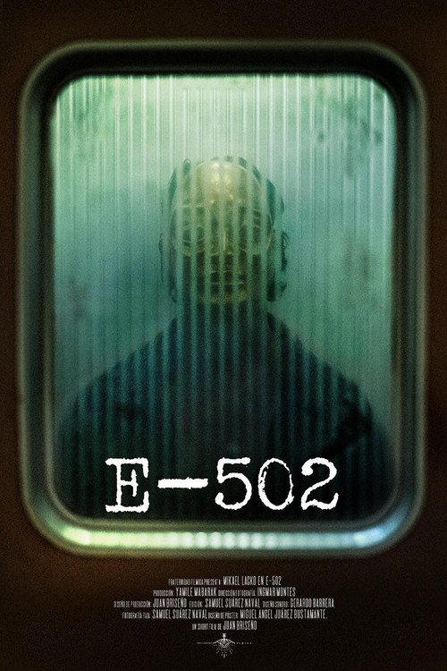 E-502 (2021) poster