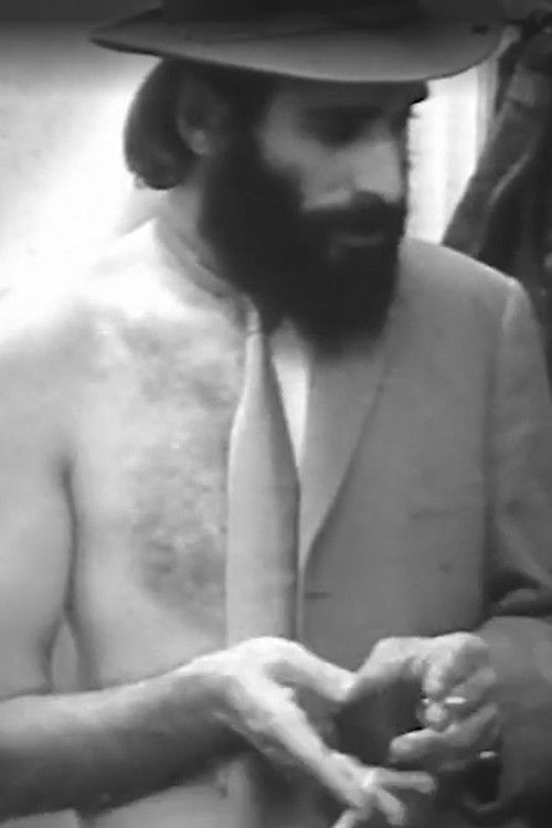 Együtthatók (1973) poster