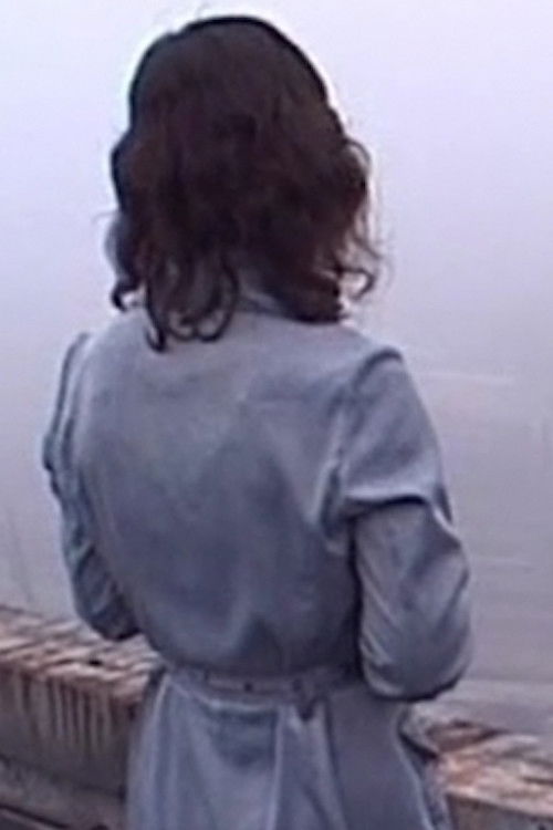 Woman Dancing on the Roof (2008) poster