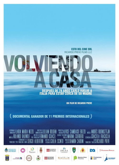 Volviendo a casa (2019) poster