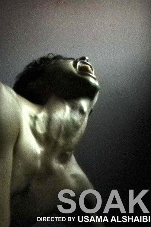Soak (2002) poster
