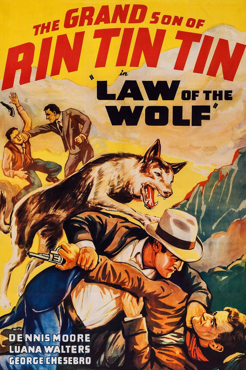 Law of the Wolf (1939) poster