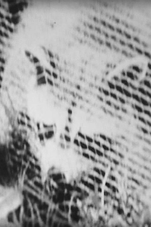 Imitation of South (2002) poster