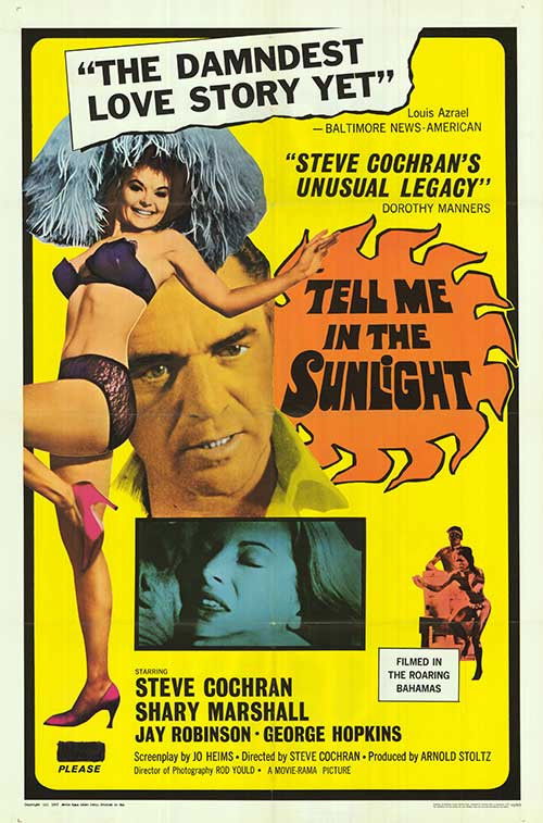 Tell Me In The Sunlight (1965) poster