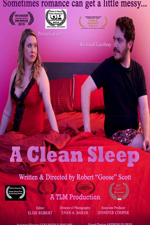 A Clean Sleep (2017) poster