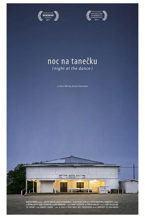 Night at the Dance (2011) poster