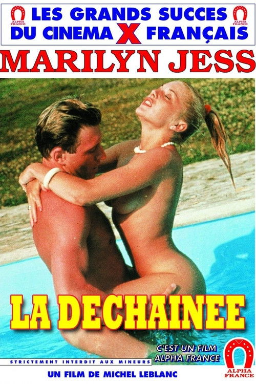 Slips fendus et porte-jarretelles (1987) poster