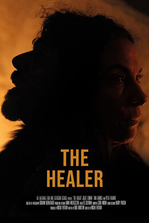 The Healer (2019) poster