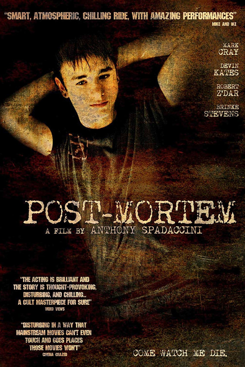 Post-Mortem (2010) poster