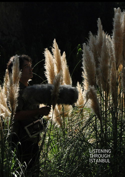 Listening Through İstanbul (2018) poster