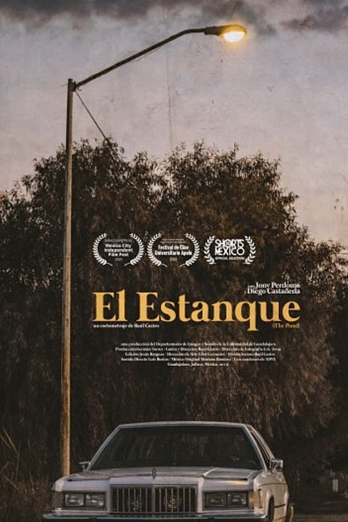 El Estanque (2019) poster