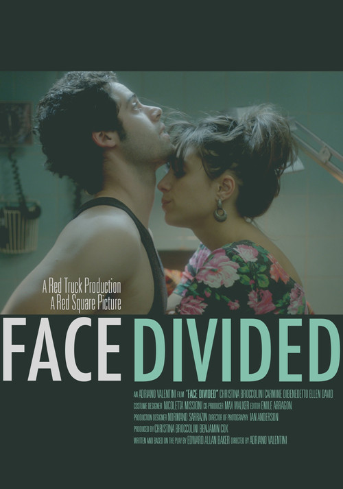 Face Divided (2011) poster