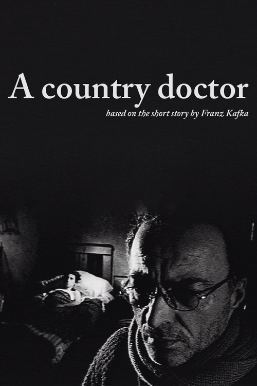 El médico rural (2000) poster
