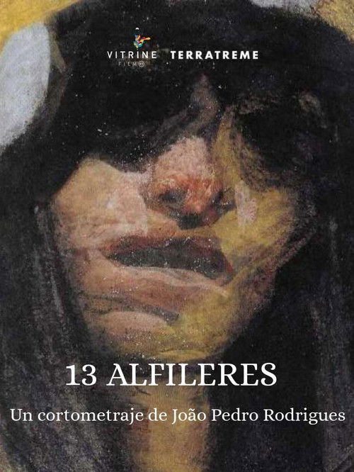 13 Alfinetes (2025) poster