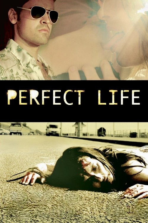 Perfect Life (2010) poster