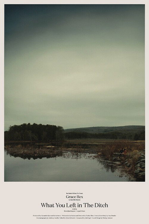 What You Left in the Ditch (2024) poster