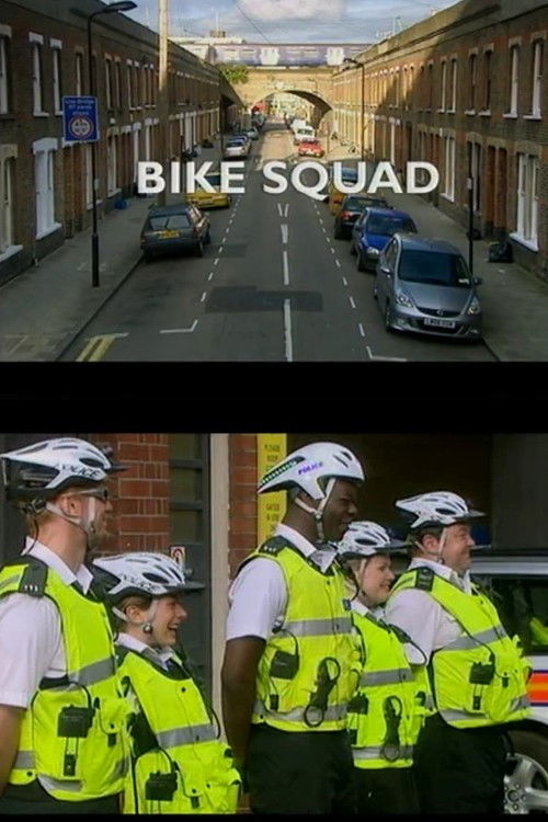 Bike Squad (2008) poster