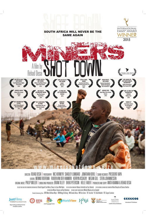 Miners Shot Down (2014) poster