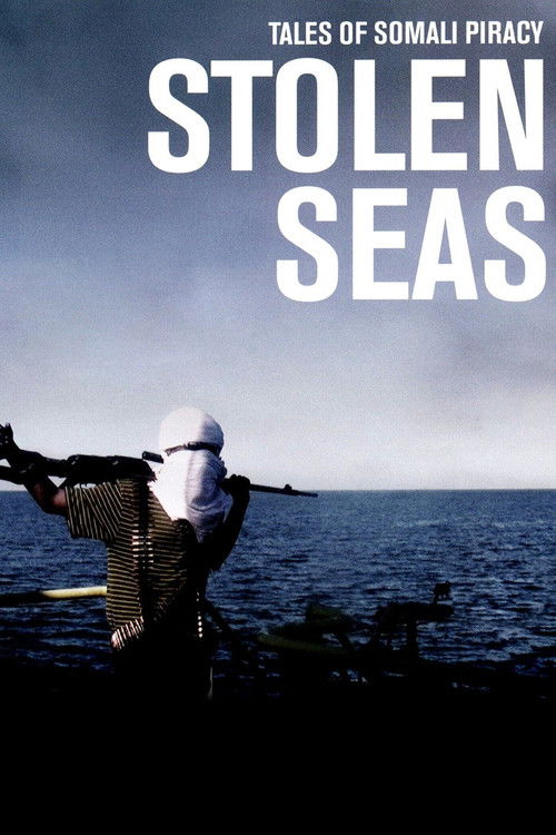 Stolen Seas (2013) poster