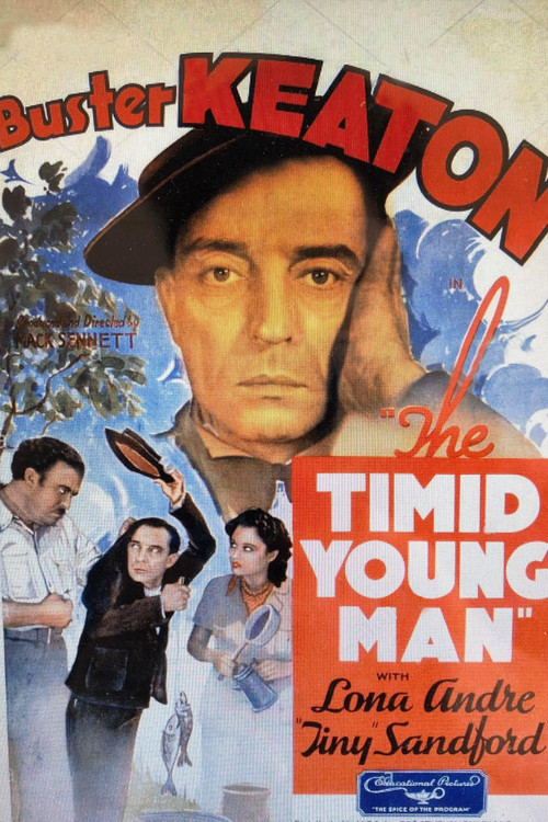 The Timid Young Man (1935) poster