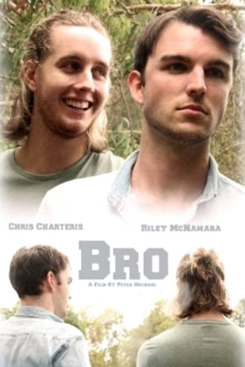Bro (2016) poster