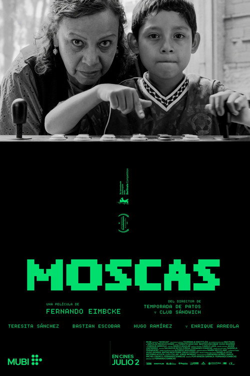 Moscas (2026) poster