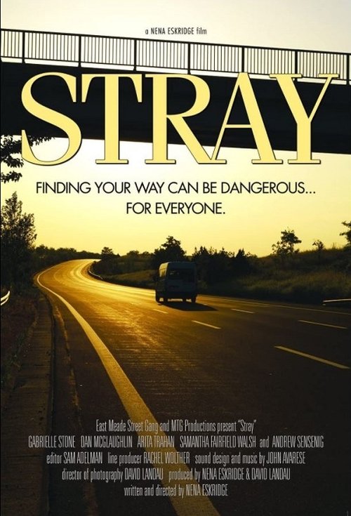 Stray (2015) poster