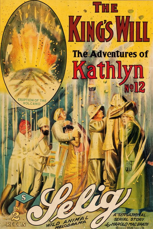 The King's Will (1914) poster