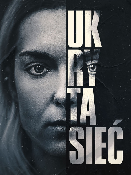 Ukryta sieć (2023) poster