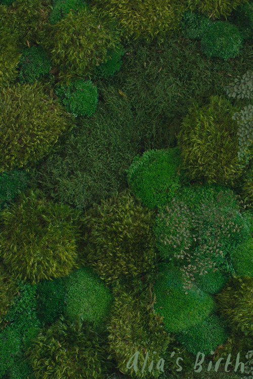 Alia's Birth (2021) poster