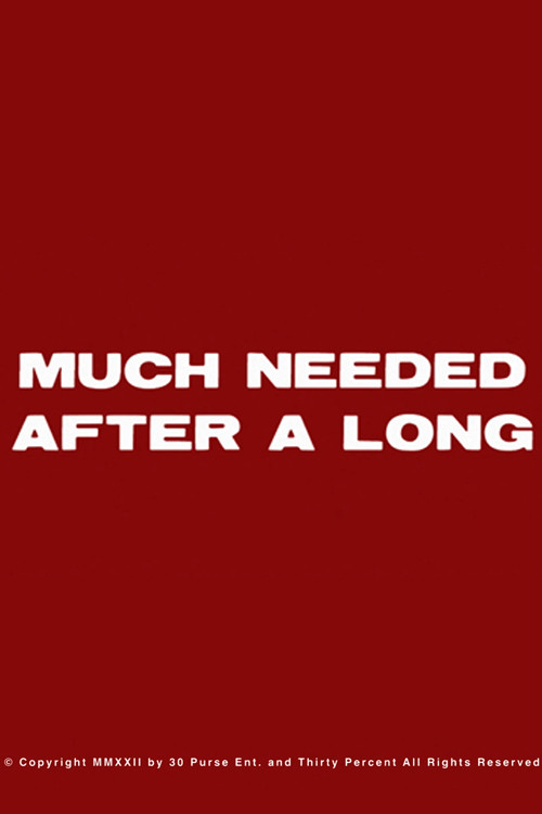 Much Needed After A Long (2022) poster