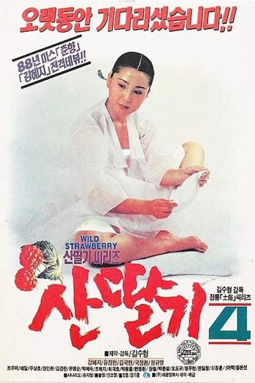 산딸기 4 (1991) poster