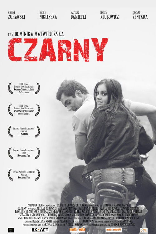 Czarny (2008) poster