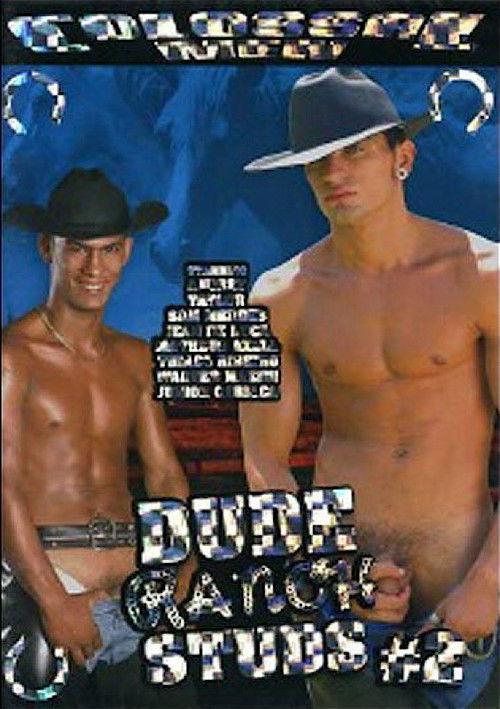 Big Log (2006) poster