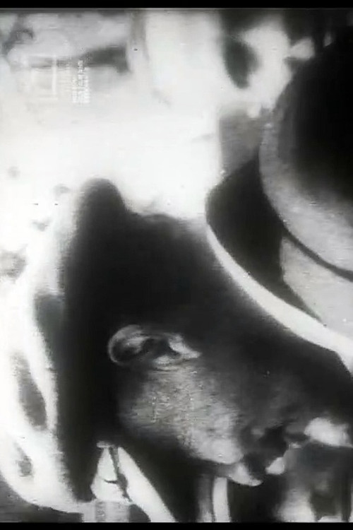 Uns mahnt ein November (1958) poster